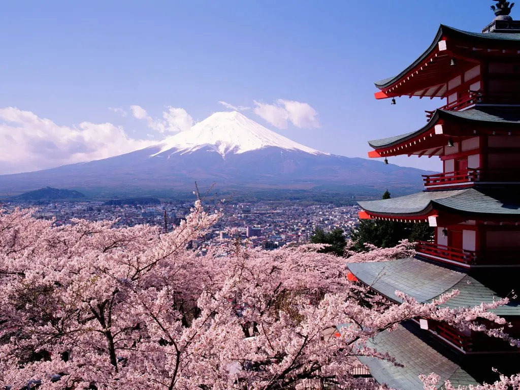 mt-fuji-view